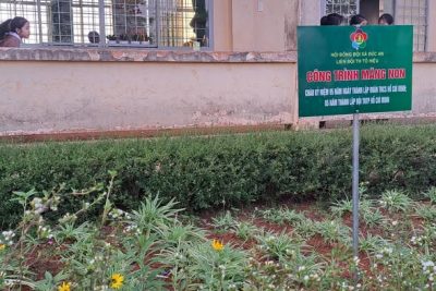 SÔI NỔI CÔNG TRÌNH MĂNG NON “VƯỜN HOA LIÊN ĐỘI” CHÀO MỪNG CÁC NGÀY LỄ LỚN