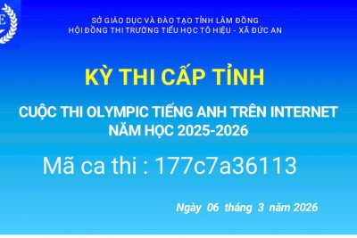 TRƯỜNG TH TÔ HIỆU TỔ CHỨC THÀNH CÔNG CUỘC THI OLYMPIC TIẾNG ANH TRÊN INTERNET CẤP TỈNH