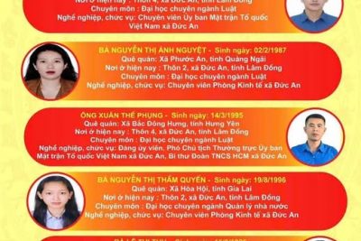 DANH SÁCH NHỮNG NGƯỜI ỨNG CỬ ĐẠI BIỂU HĐND XÃ ĐỨC AN NHIỆM KỲ 2026 – 2031 TẠI ĐƠN VỊ BẦU CỬ SỐ 01