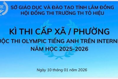 TRƯỜNG TH TÔ HIỆU TỔ CHỨC KÌ THI OLYMPIC TIẾNG ANH TRÊN INTERNET CẤP XÃ, PHƯỜNG