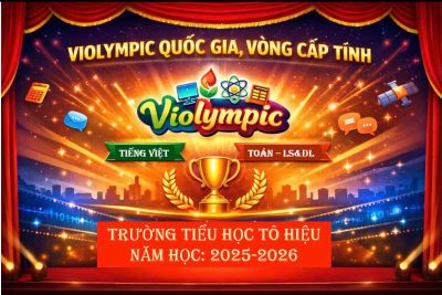 TRƯỜNG TIỂU HỌC TÔ HIỆU TỔ CHỨC THÀNH CÔNG KỲ THI VIOLYMPIC CẤP TỈNH